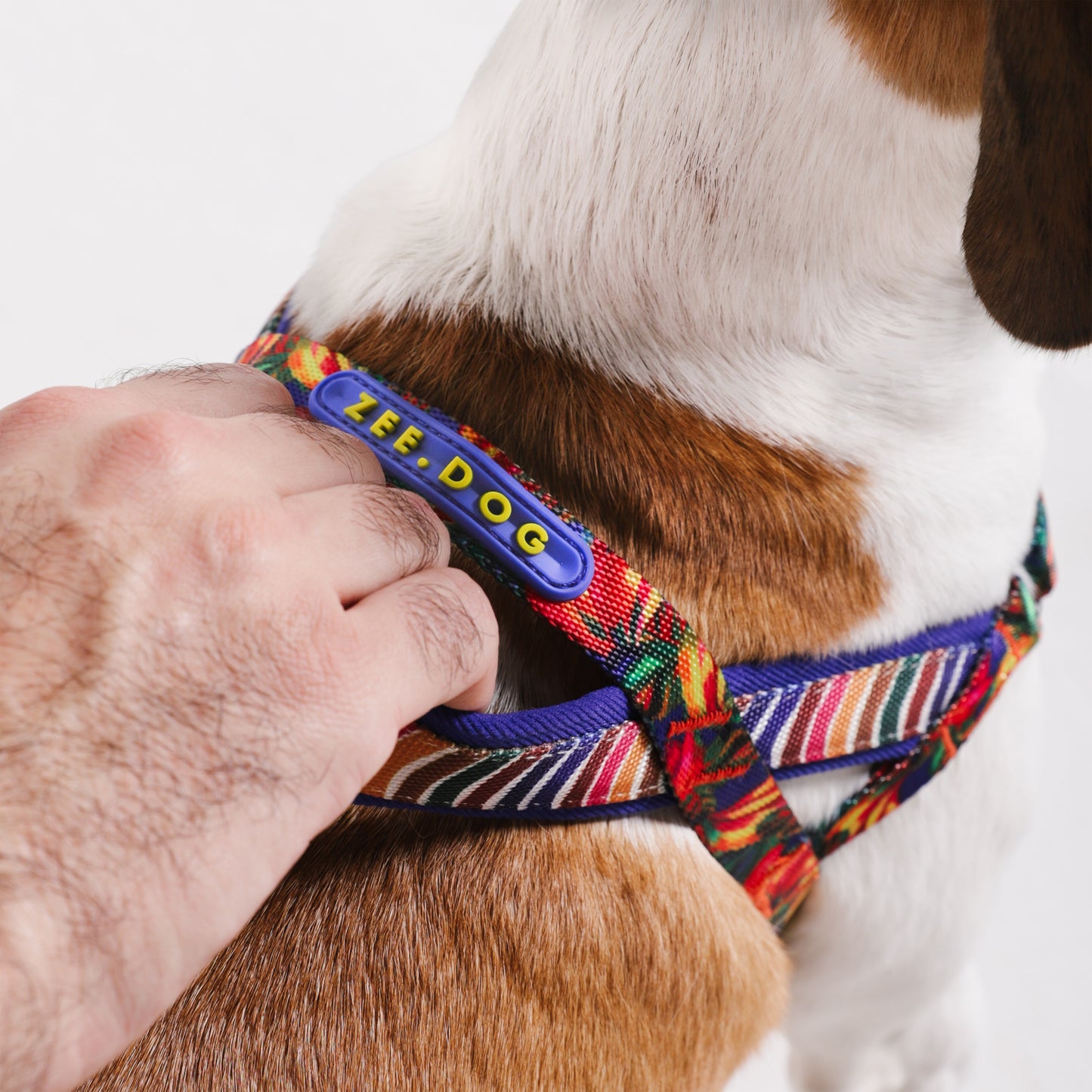 Samba | Softer Walk Harness