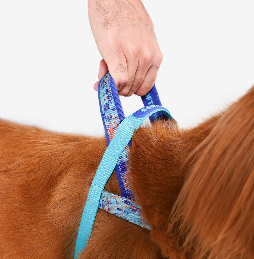 Glitch Error 404 | Softer Walk Harness