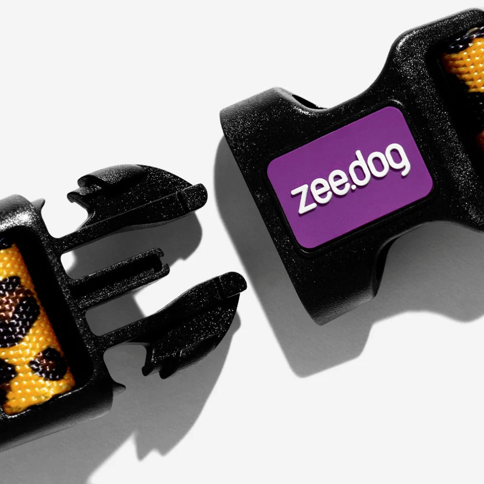 Classic Honey | Collar