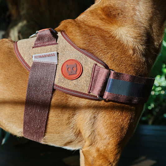 Naturals Cocoa | FlyHarness