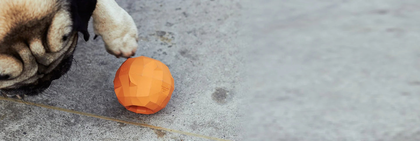 Super Orange | Dog Toy