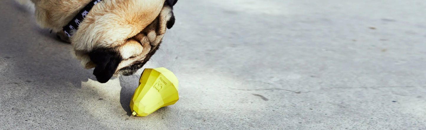 Super Pear | Dog Toy