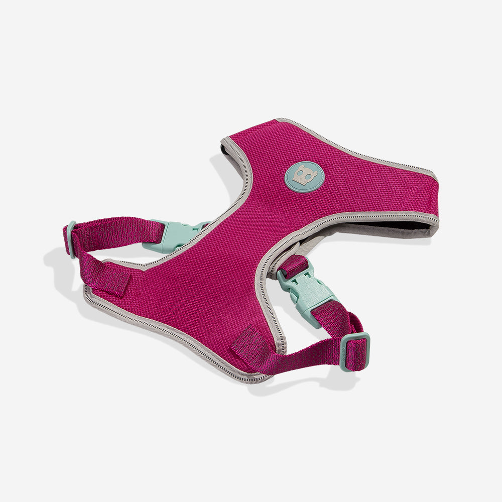 Nox Sidus | Adjustable Air Mesh Harness