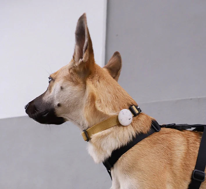 Jelly | AirTag Holder