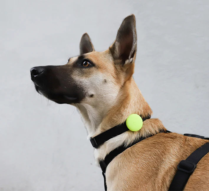 Lime | AirTag Holder