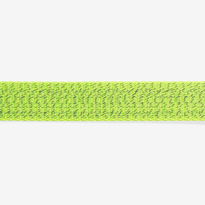 Nox Lumen | Cat Collar