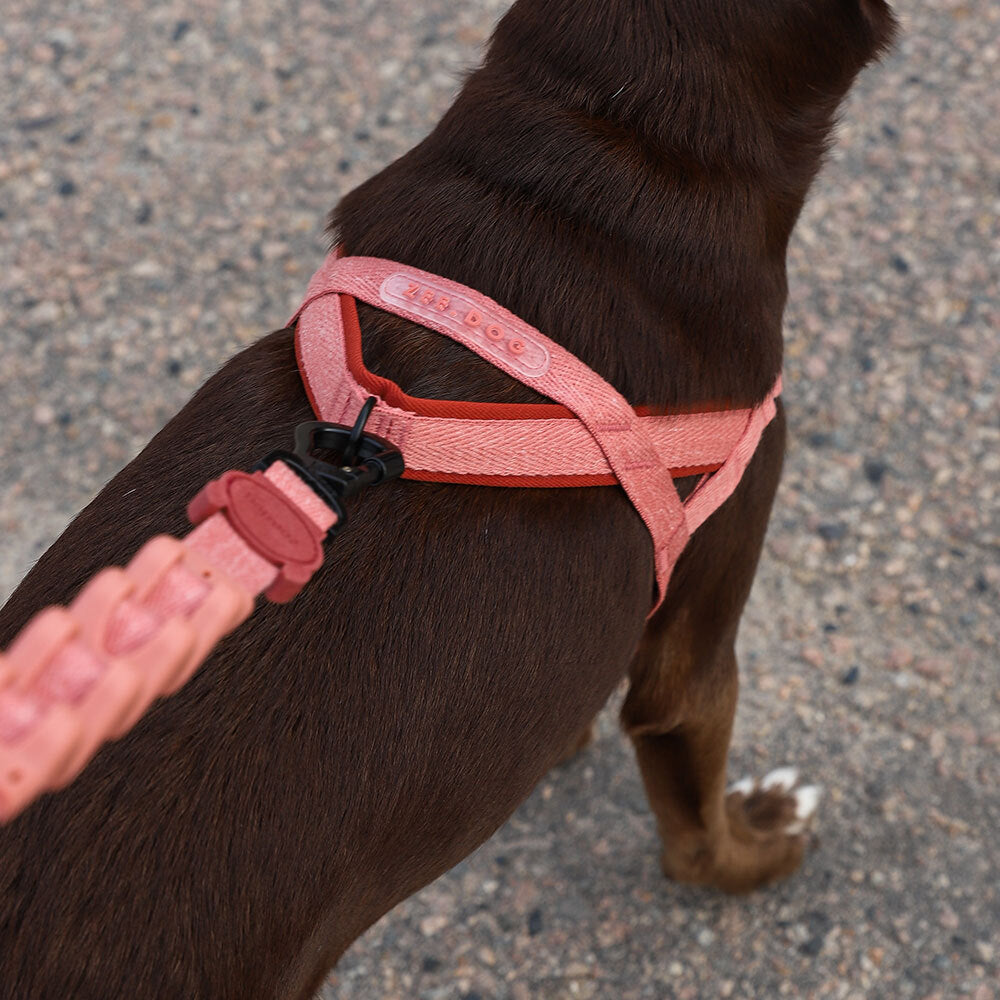 Naturals Canyon | SofterWalk Harness