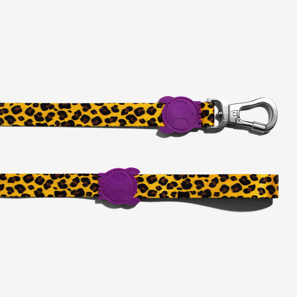 Classic Honey | Leash
