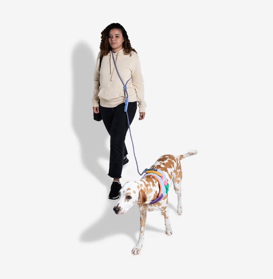 Andromeda | Handsfree Leash