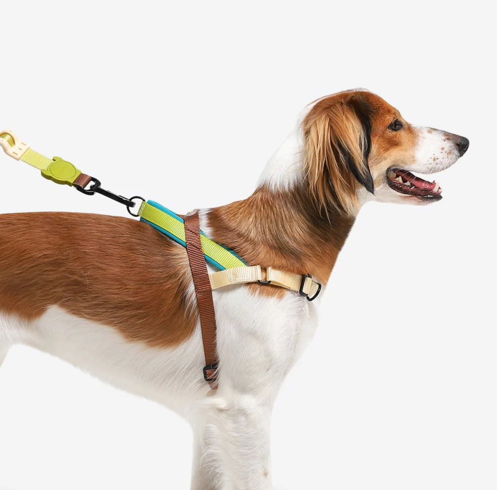 Avocado | SofterWalk Harness