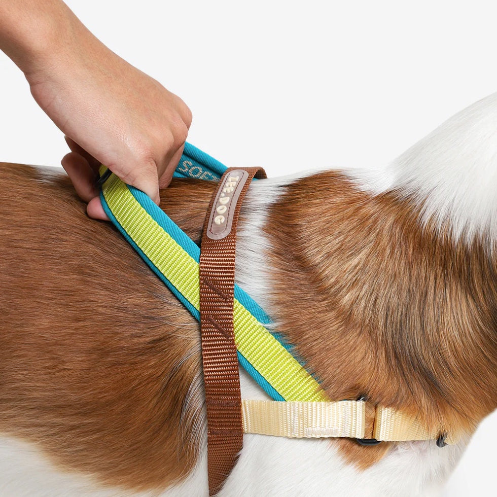 Avocado | SofterWalk Harness