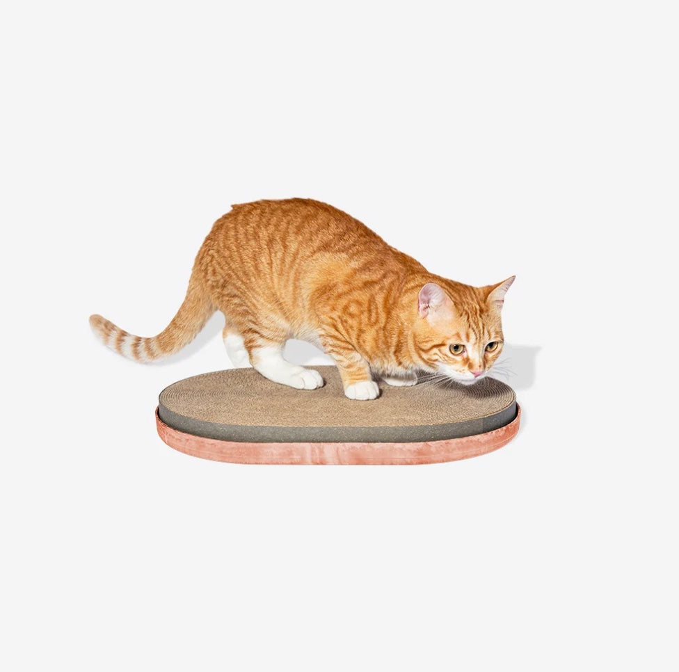 Citrus | Cat Scratcher