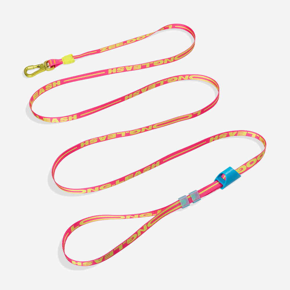 Long Leash | Drago