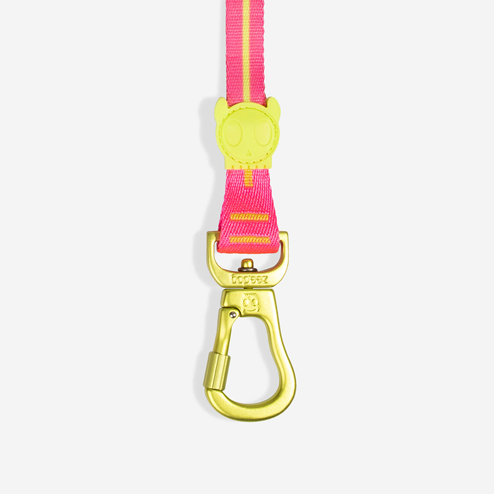Long Leash | Drago