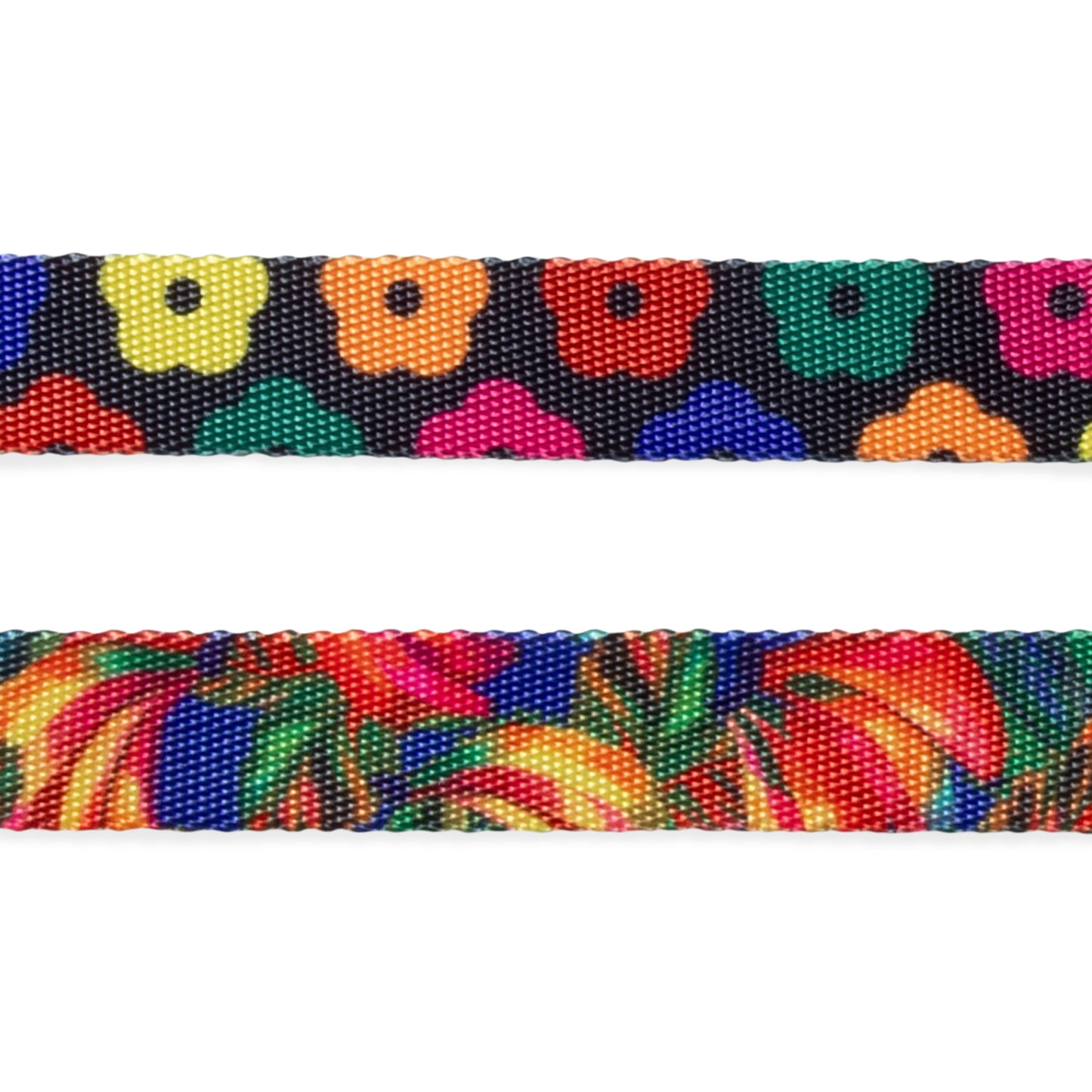 Samba | Leash