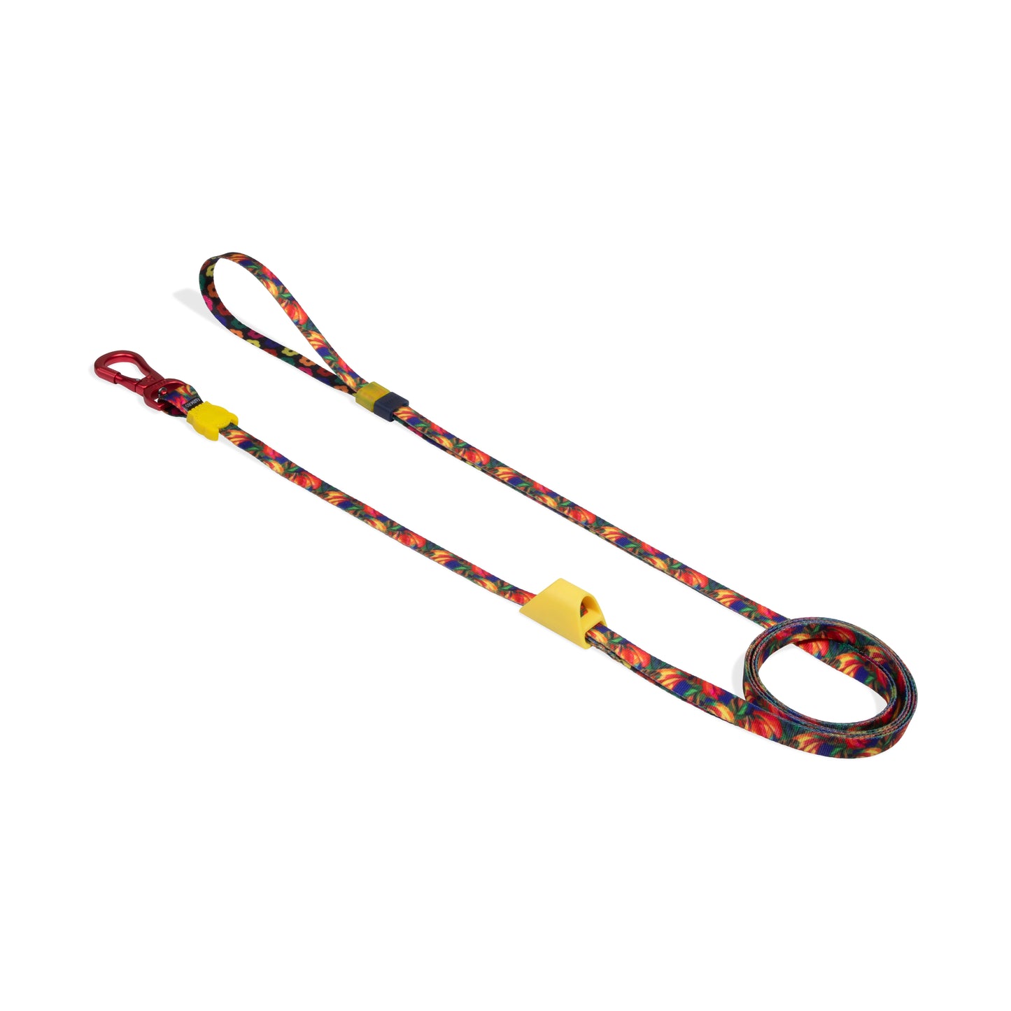 Samba | Long Leash