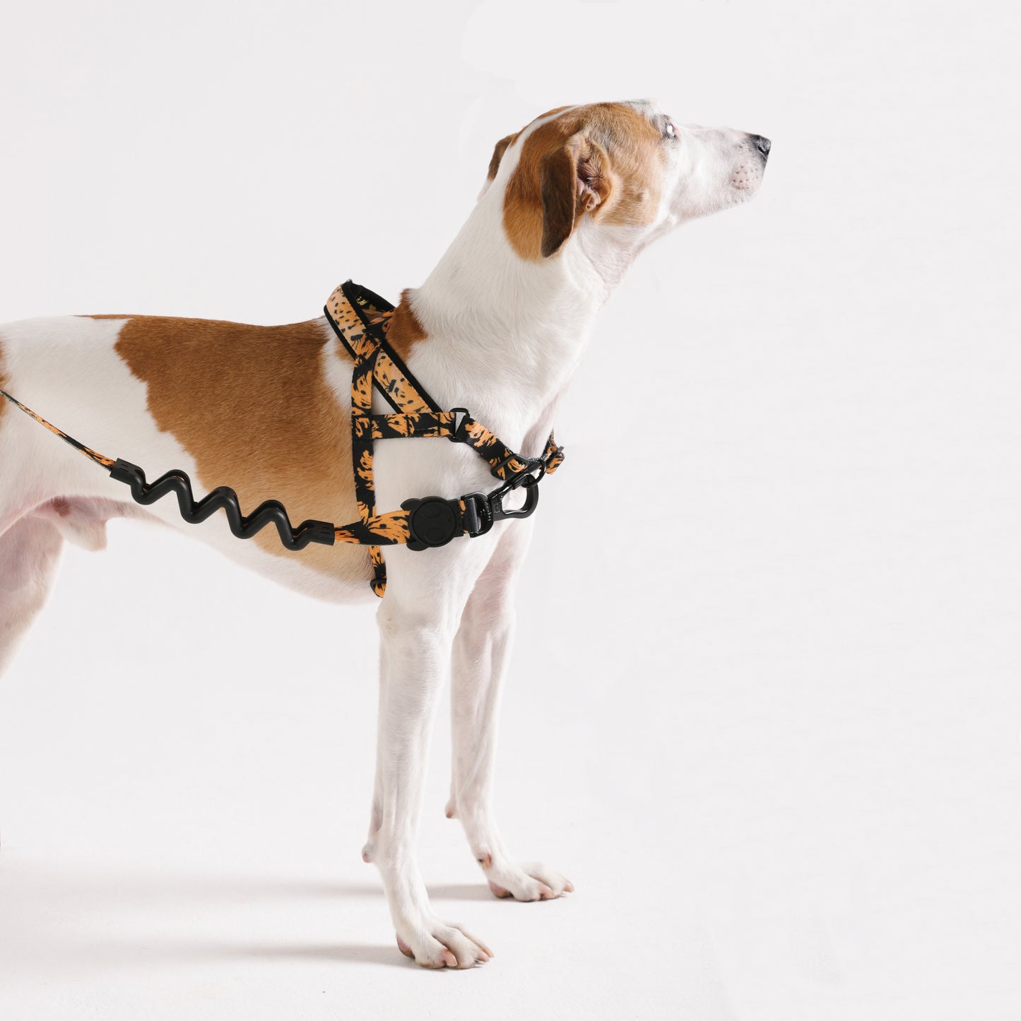 Bossa Banana | Softer Walk Harness