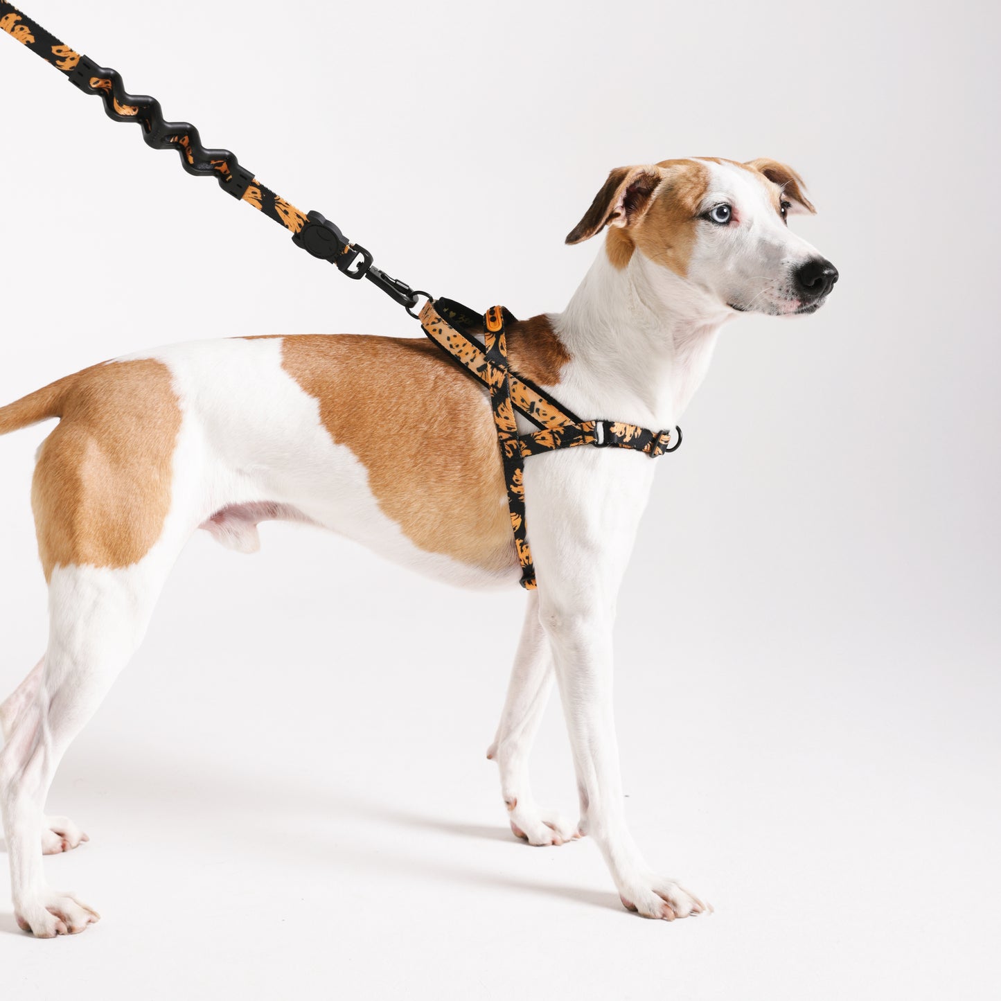 Bossa Banana | Softer Walk Harness