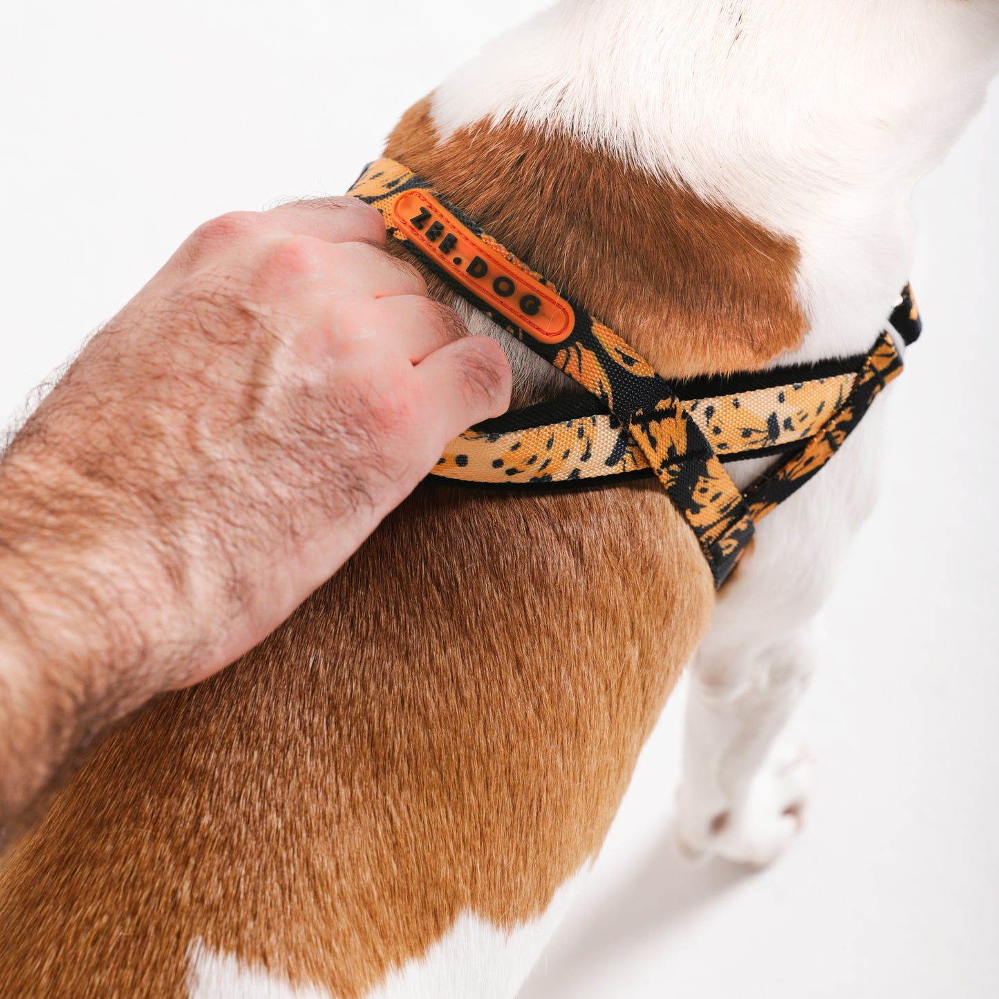 Bossa Banana | Softer Walk Harness
