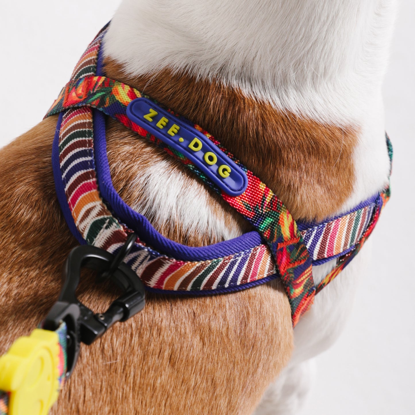 Samba | Softer Walk Harness
