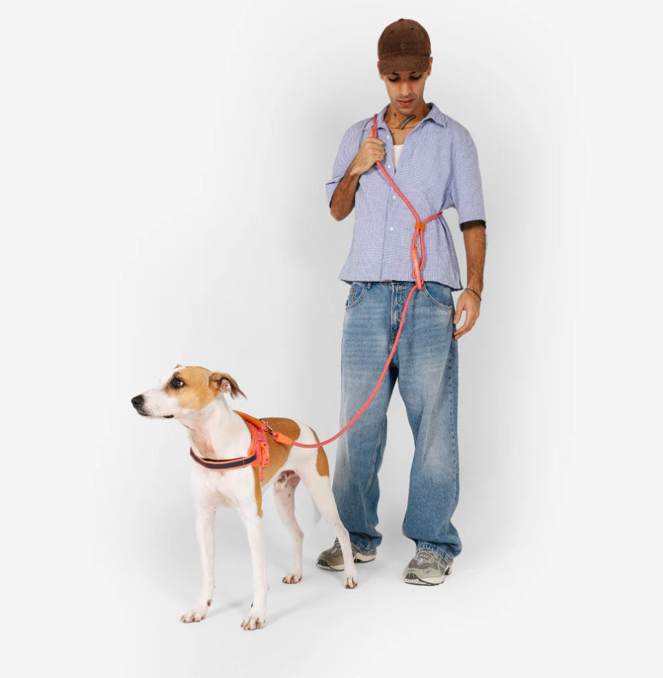 Gazelle | Handsfree Leash