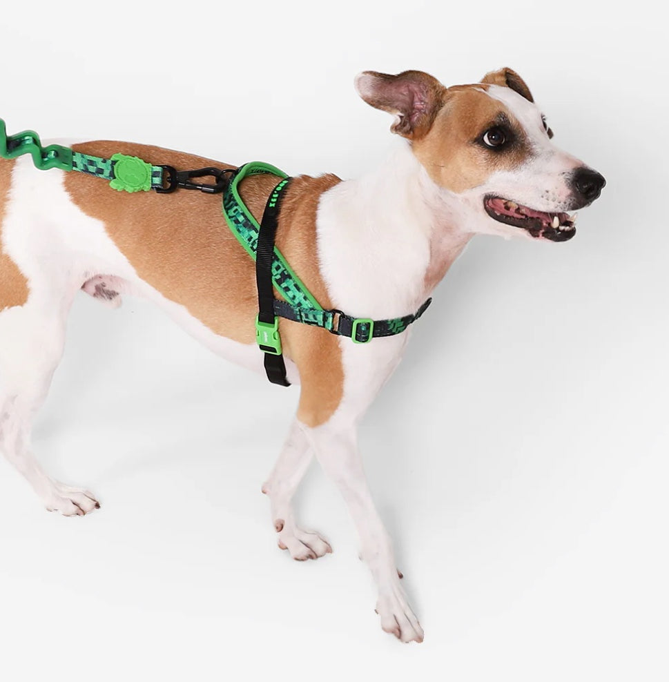 Glitch Error 410 | Softer Walk Harness