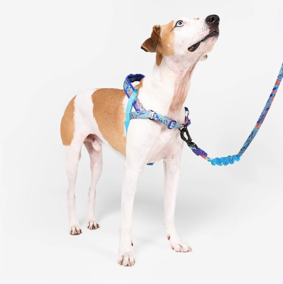 Glitch Error 404 | Softer Walk Harness