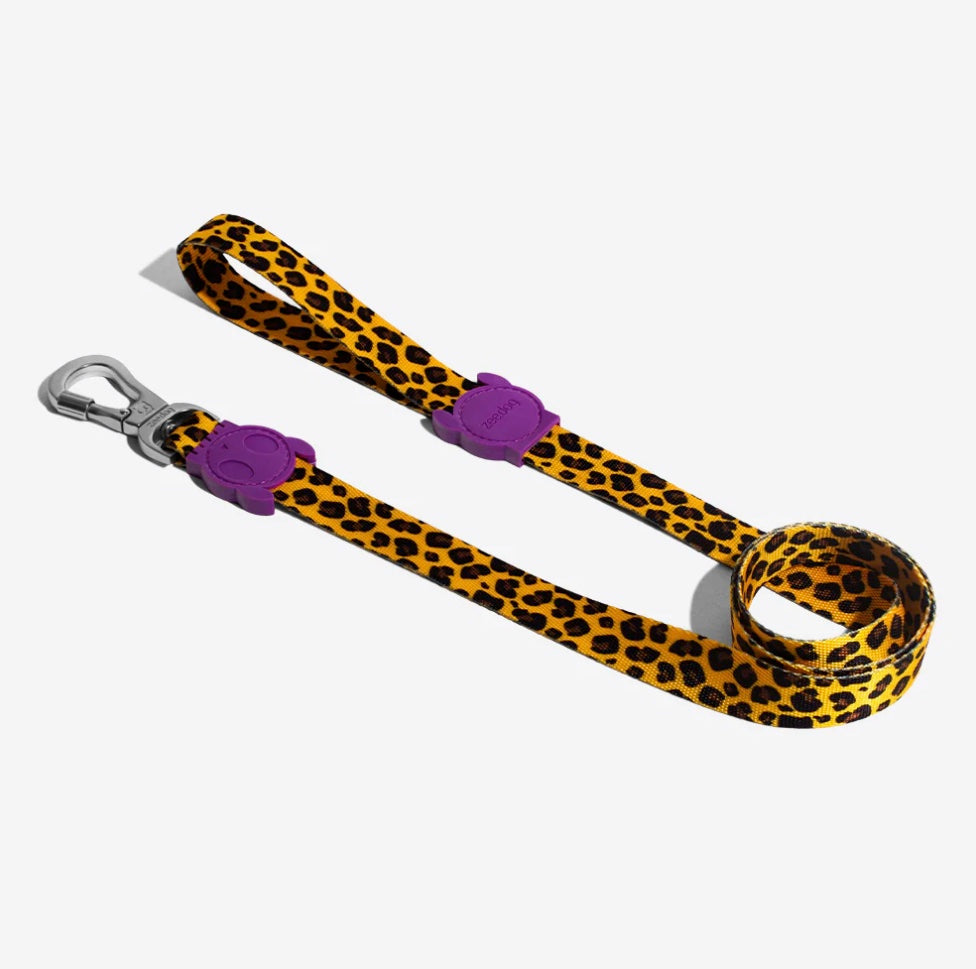 Classic Honey | Leash