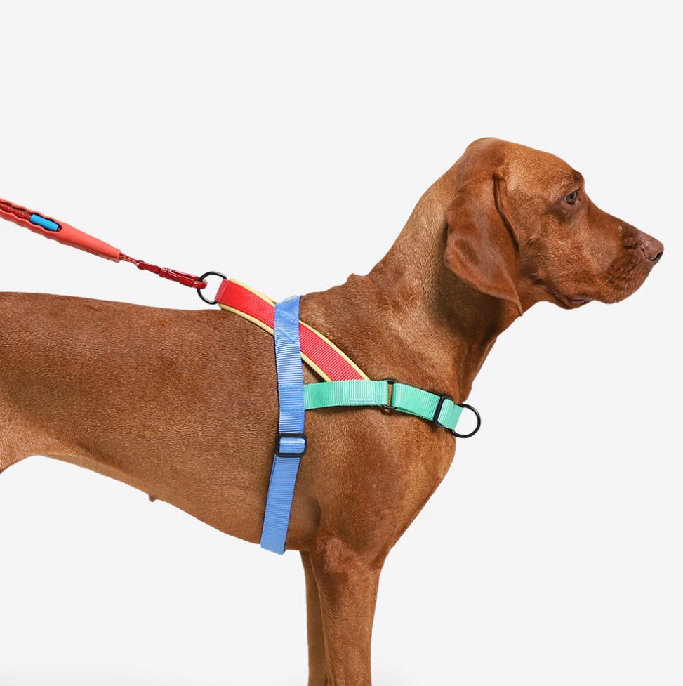 Mellow | SofterWalk Harness