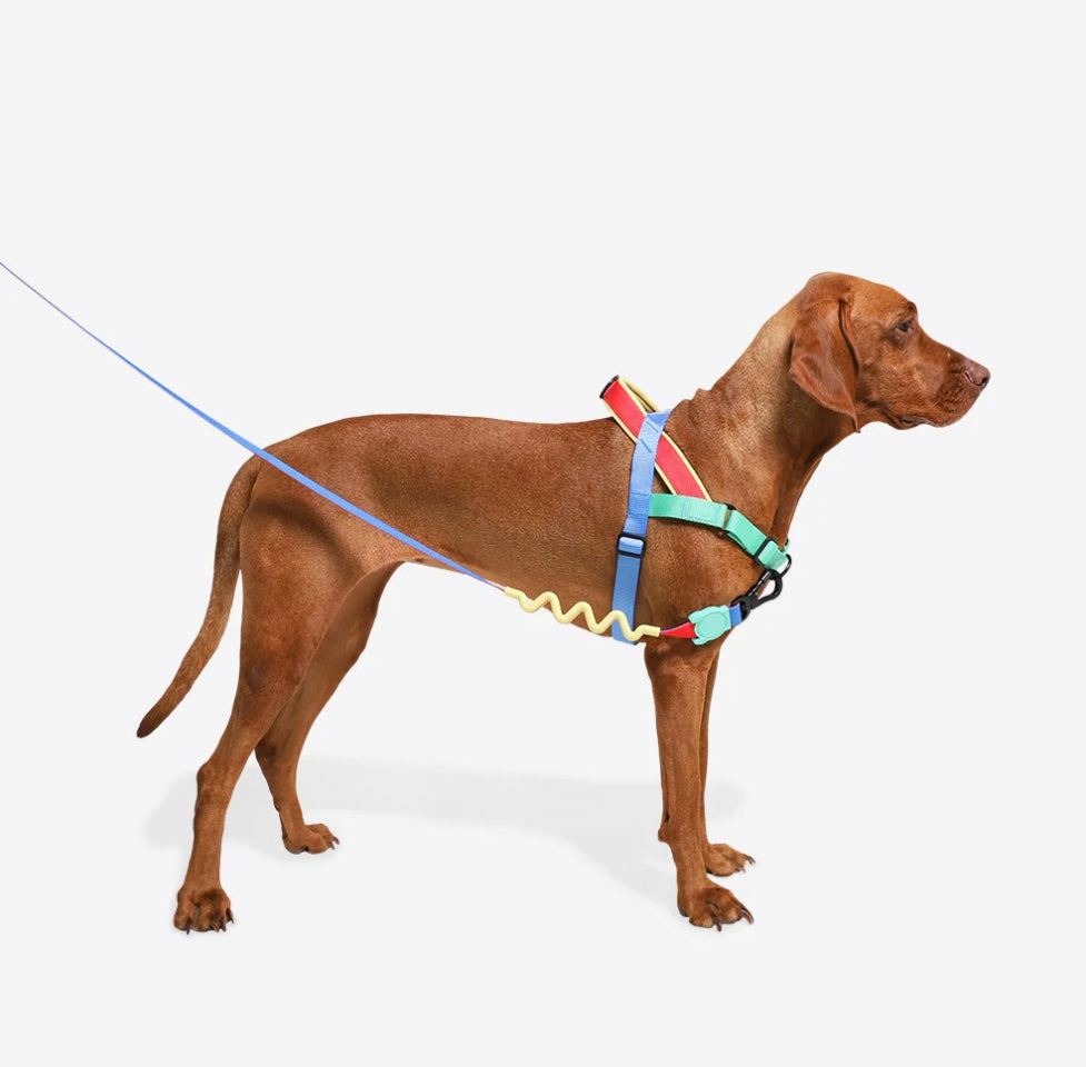 Mellow | SofterWalk Harness