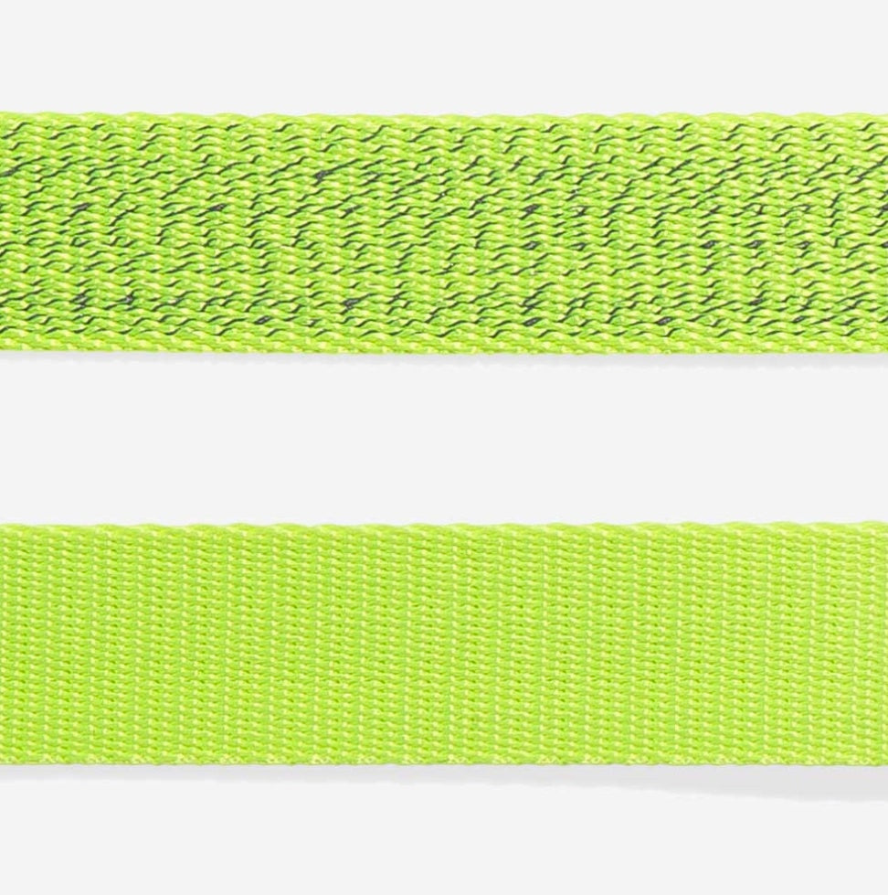 Nox Lumen | Cat Harness + Leash