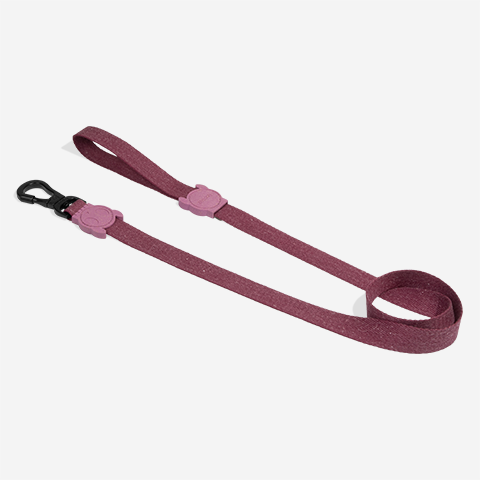 Naturals Hibiscus | Leash
