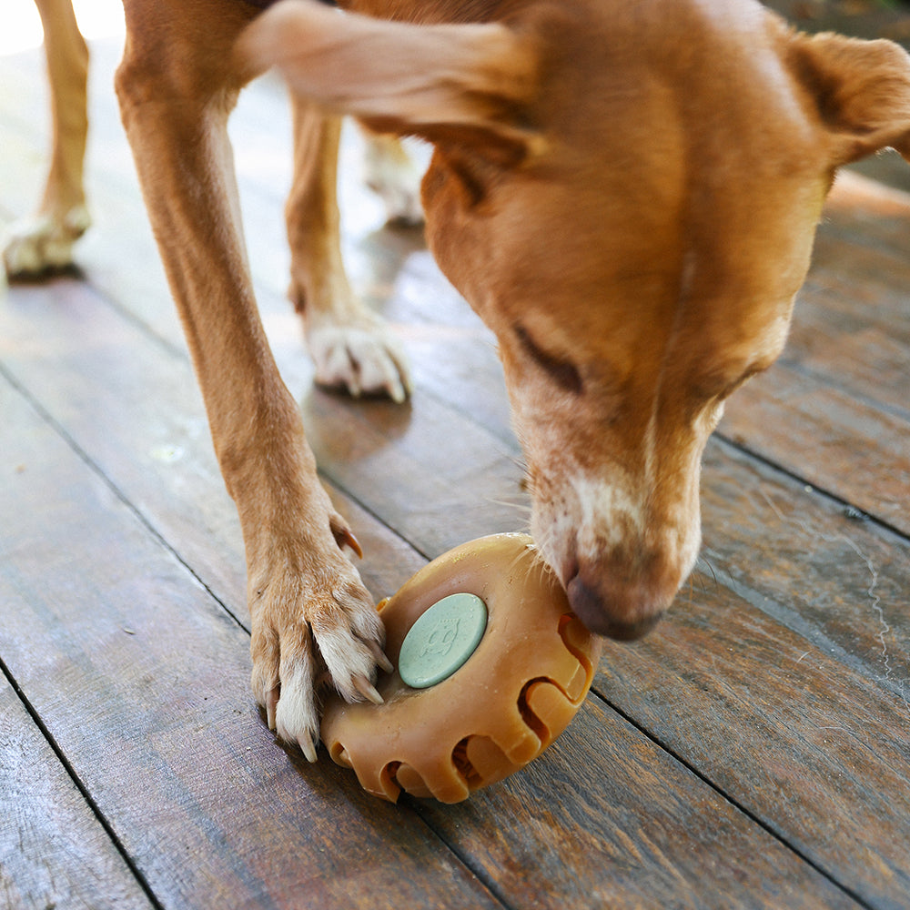 Naturals Treat Dispenser Toy