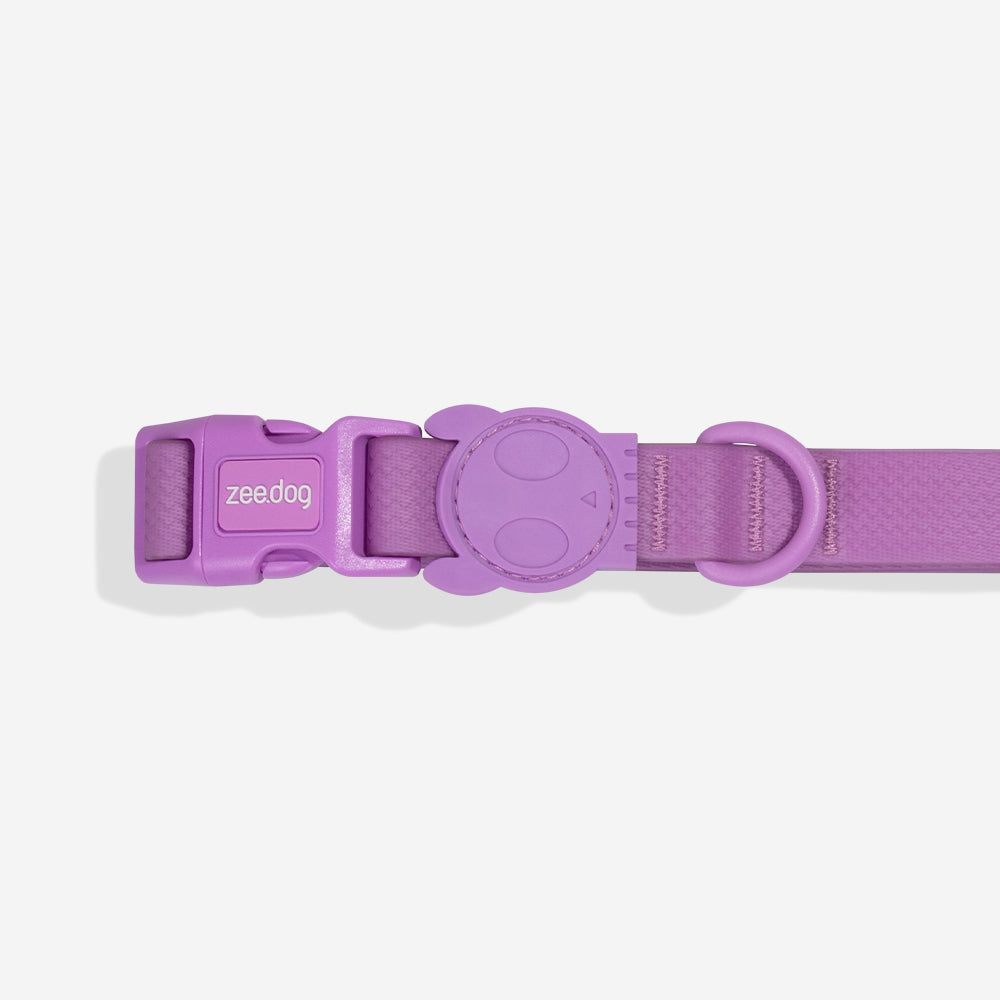 Neopro Ultra Violet | Collar