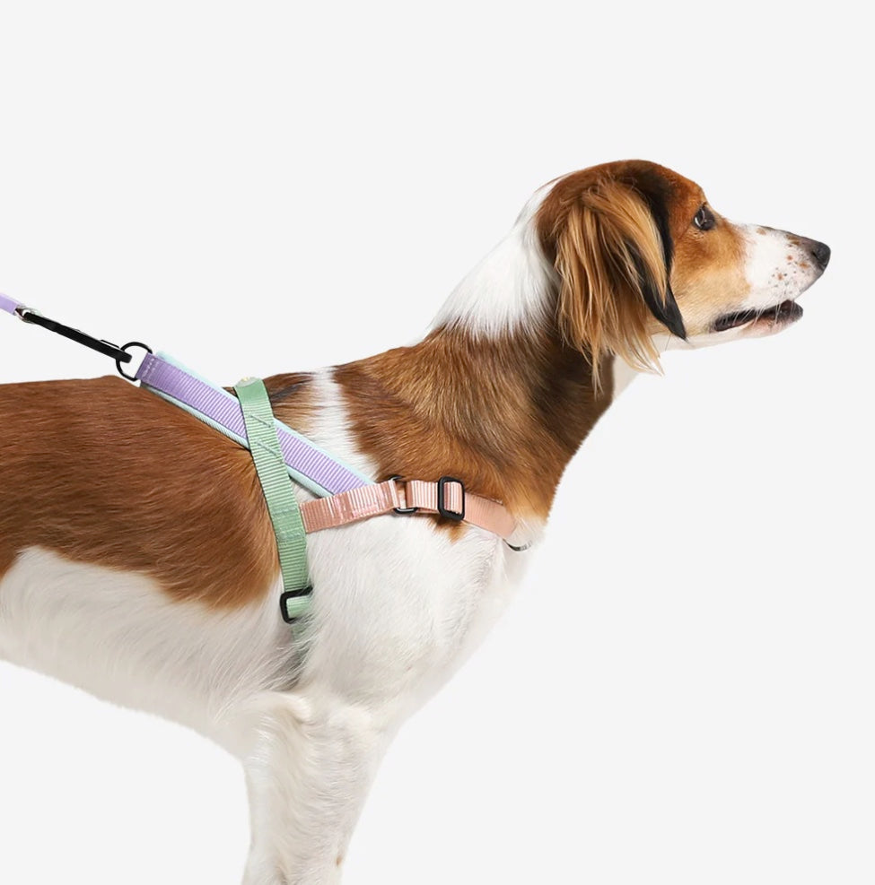 Peach | SofterWalk Harness