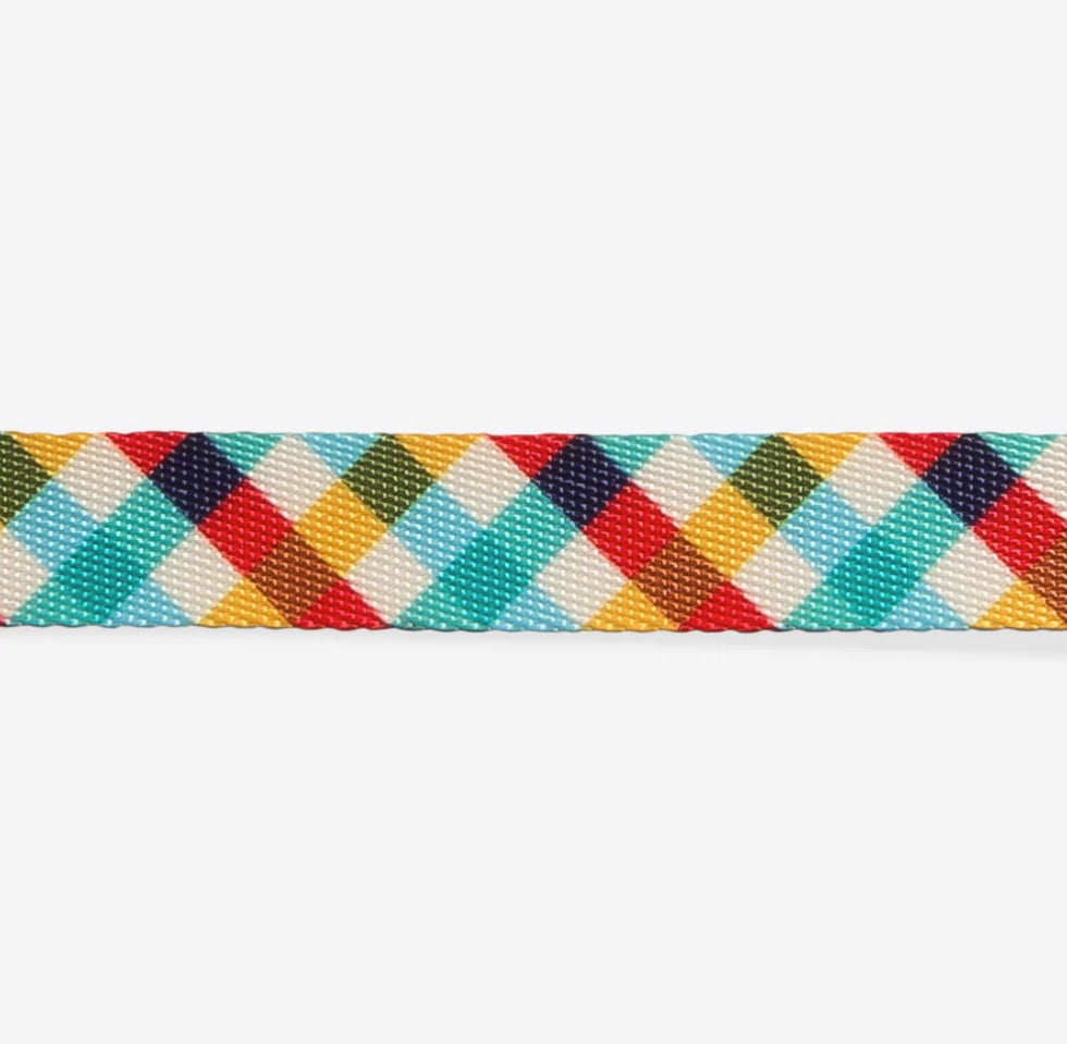 Classic Phantom | Collar