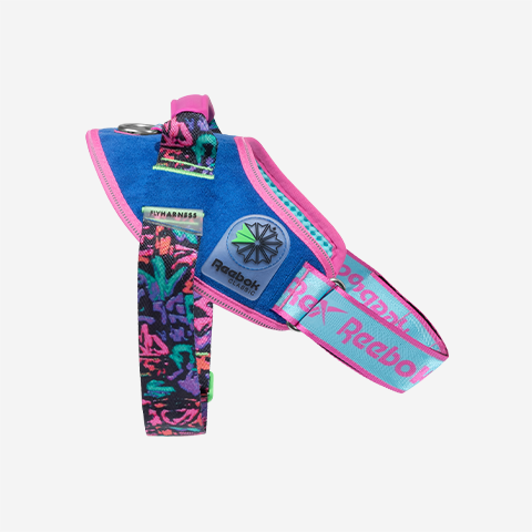 Reebok Aerobic | FlyHarness