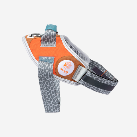 Reebok Suede | FlyHarness