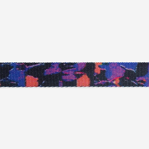 Reebok Court | Cat Collar