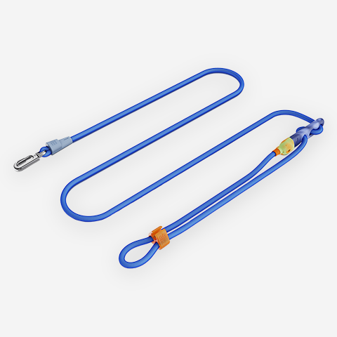 Classic Neopro Sapphire | Handsfree Leash