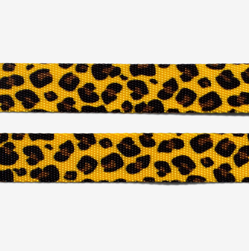 Classic Honey | Cat Collar