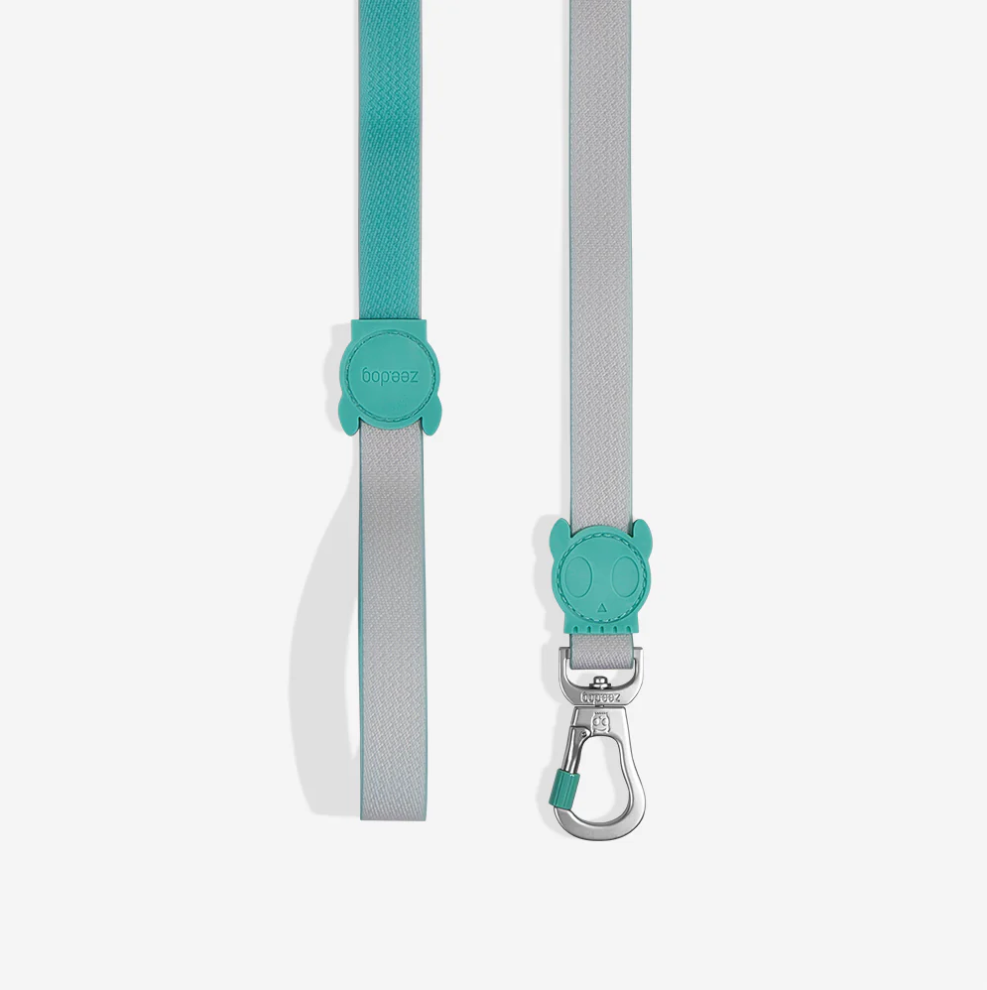 Classic Neopro Tidal | Leash