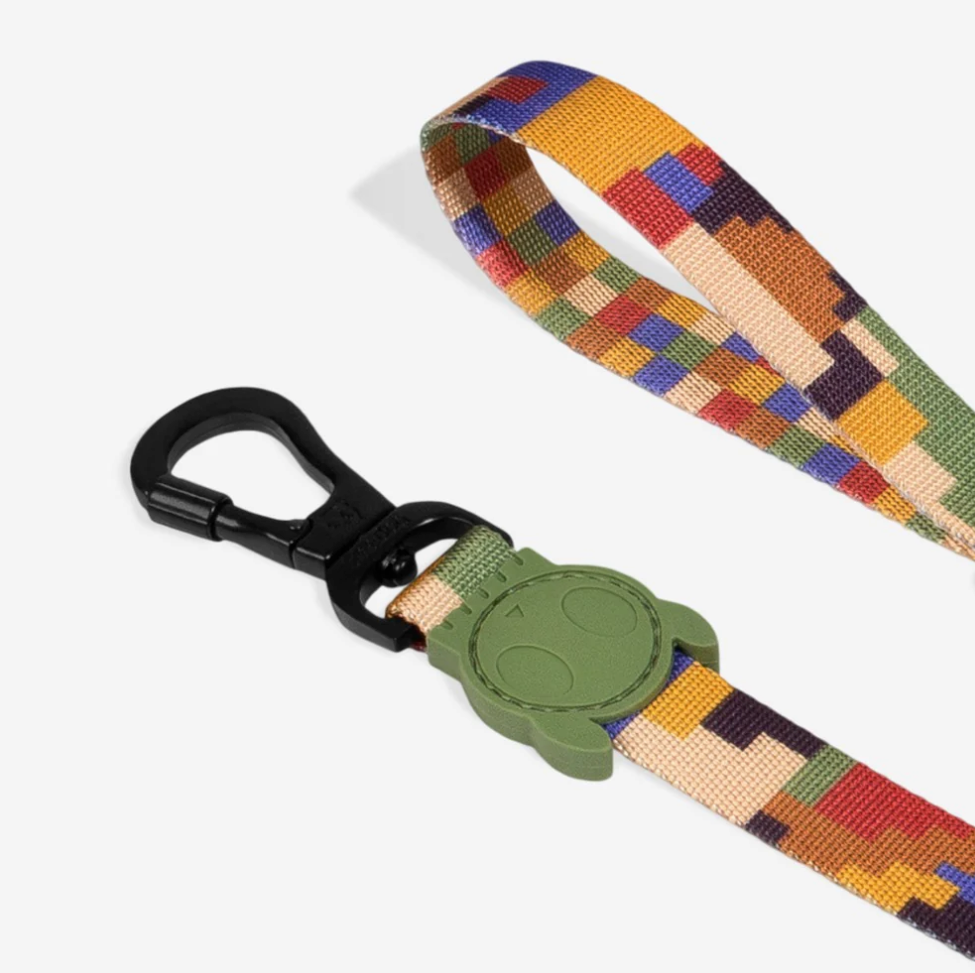 Pixel | Leash