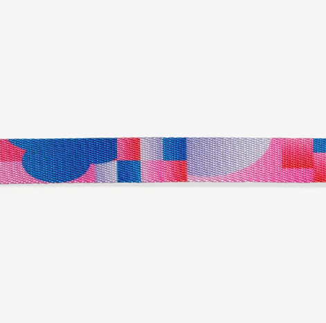 Noon | Cat Collar