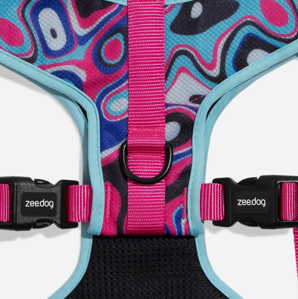 Blast | Adjustable Air Mesh Harness