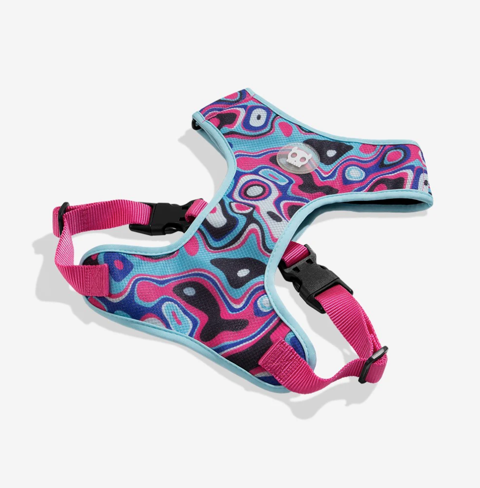 Blast | Adjustable Air Mesh Harness