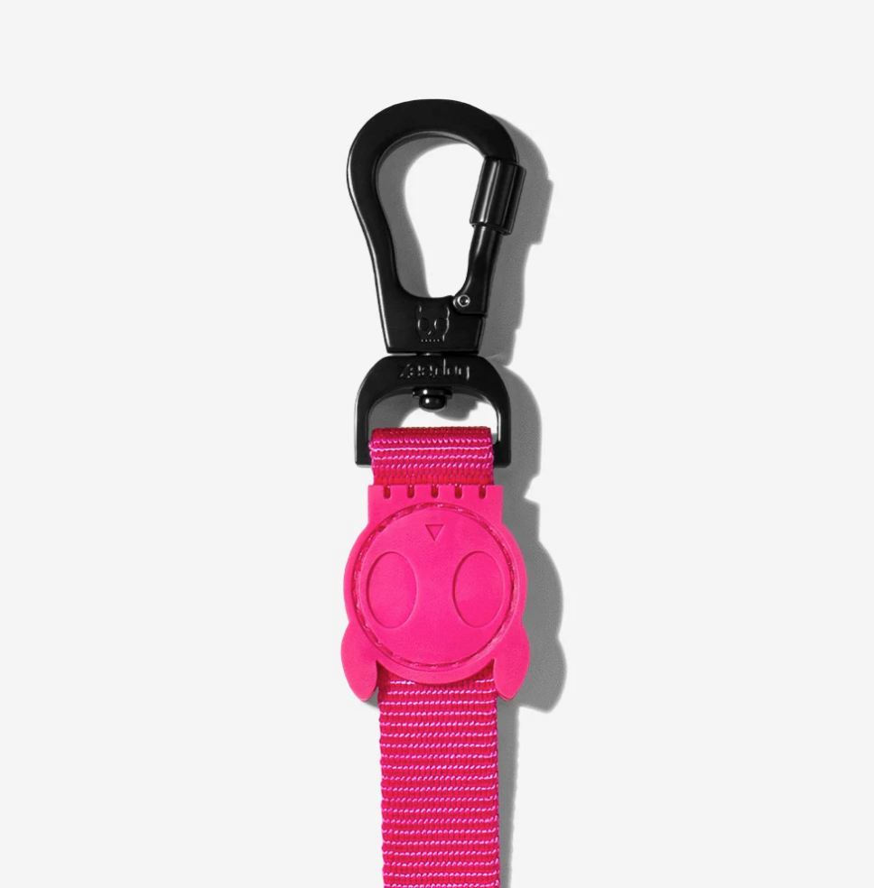 Classic Pink LED | Leash