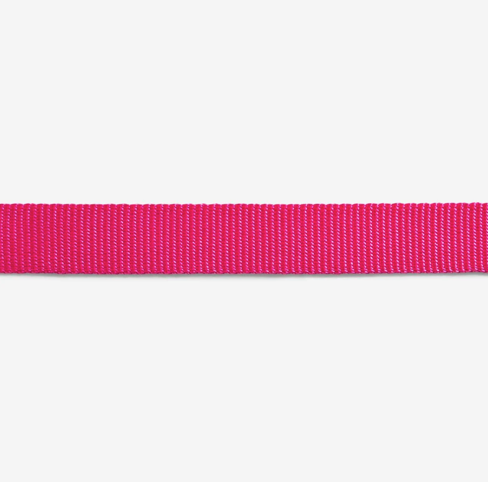 Classic Pink LED | Leash