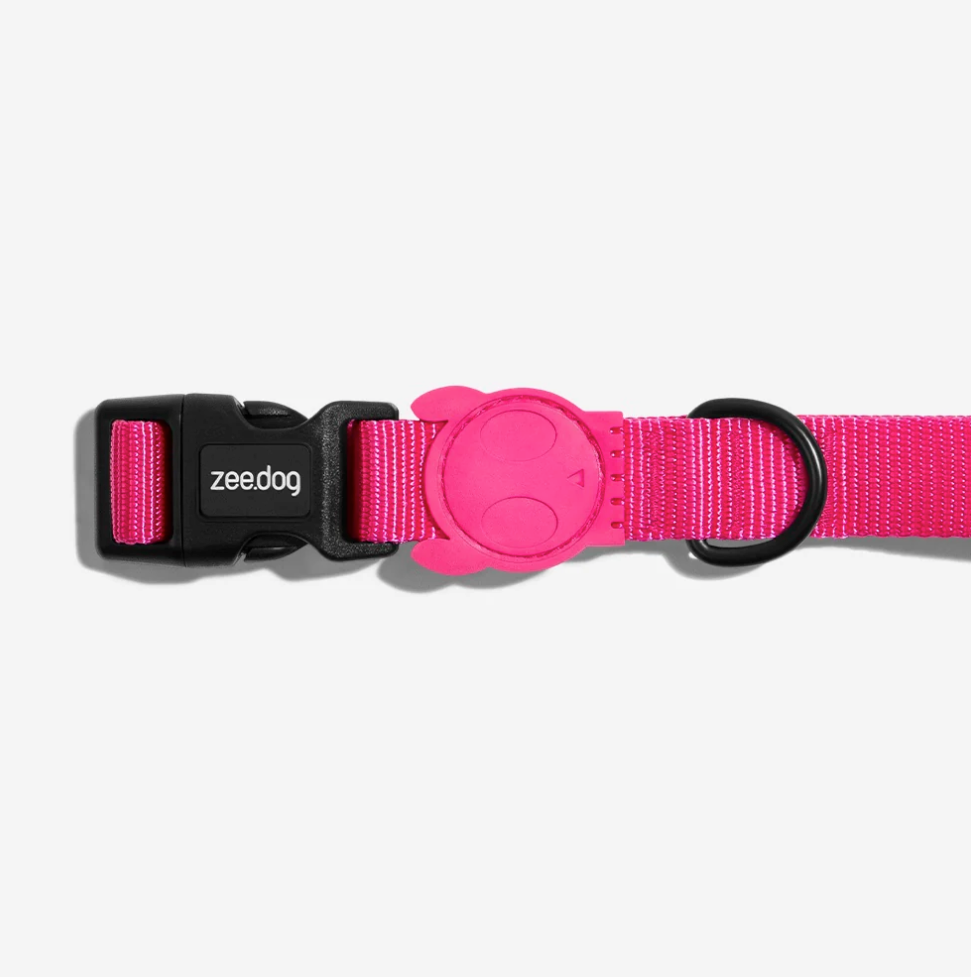 Classic Pink LED | Collar