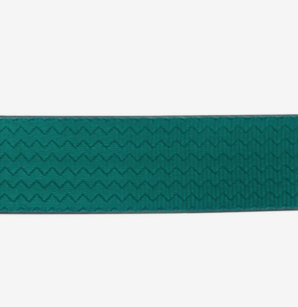 Classic Neopro Amazonia | Cat Collar